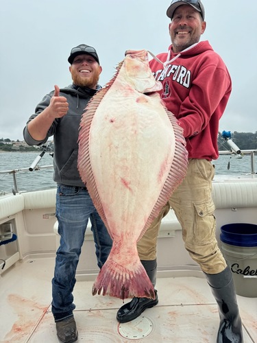 37lb Halibut!